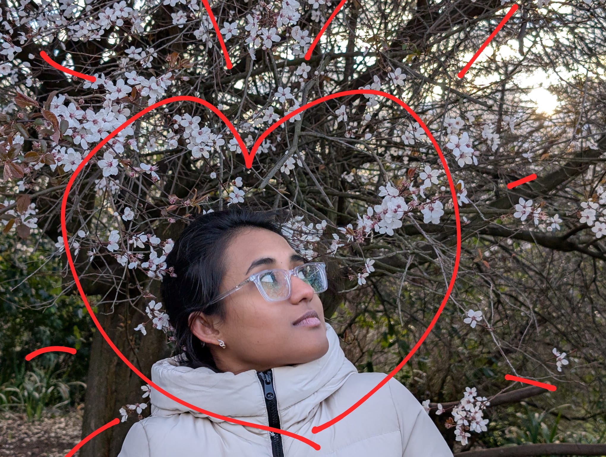 Cultural Center, 2024